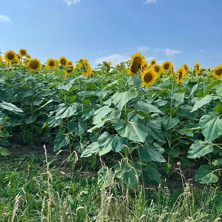 Semesterbostad - Les Traversieres